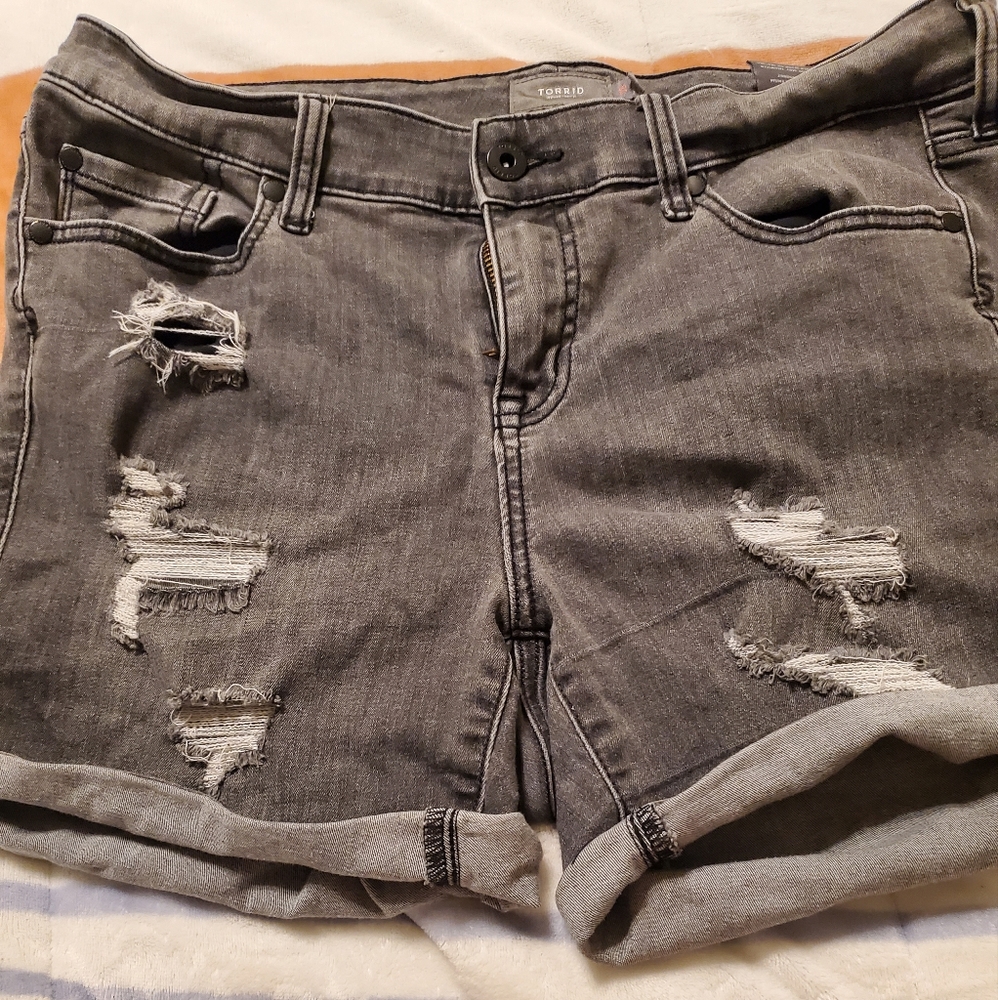 Torrid Shorts